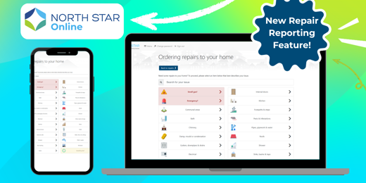 North Star Online (1) (2)