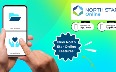 North Star Online (2)