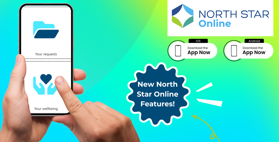 North Star Online (2)