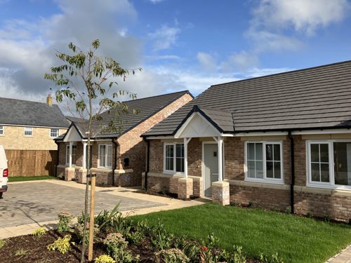 A pair of modern single-storey brick bungalows with grey tiled roofs, white-framed windows, and small covered porches. A neatly landscaped front garden with a young tree and flower beds sits in front, alongside a paved driveway.