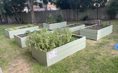 Garden 1