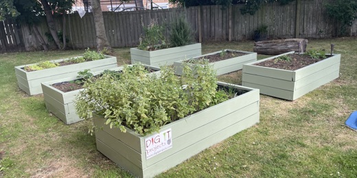 Garden 1