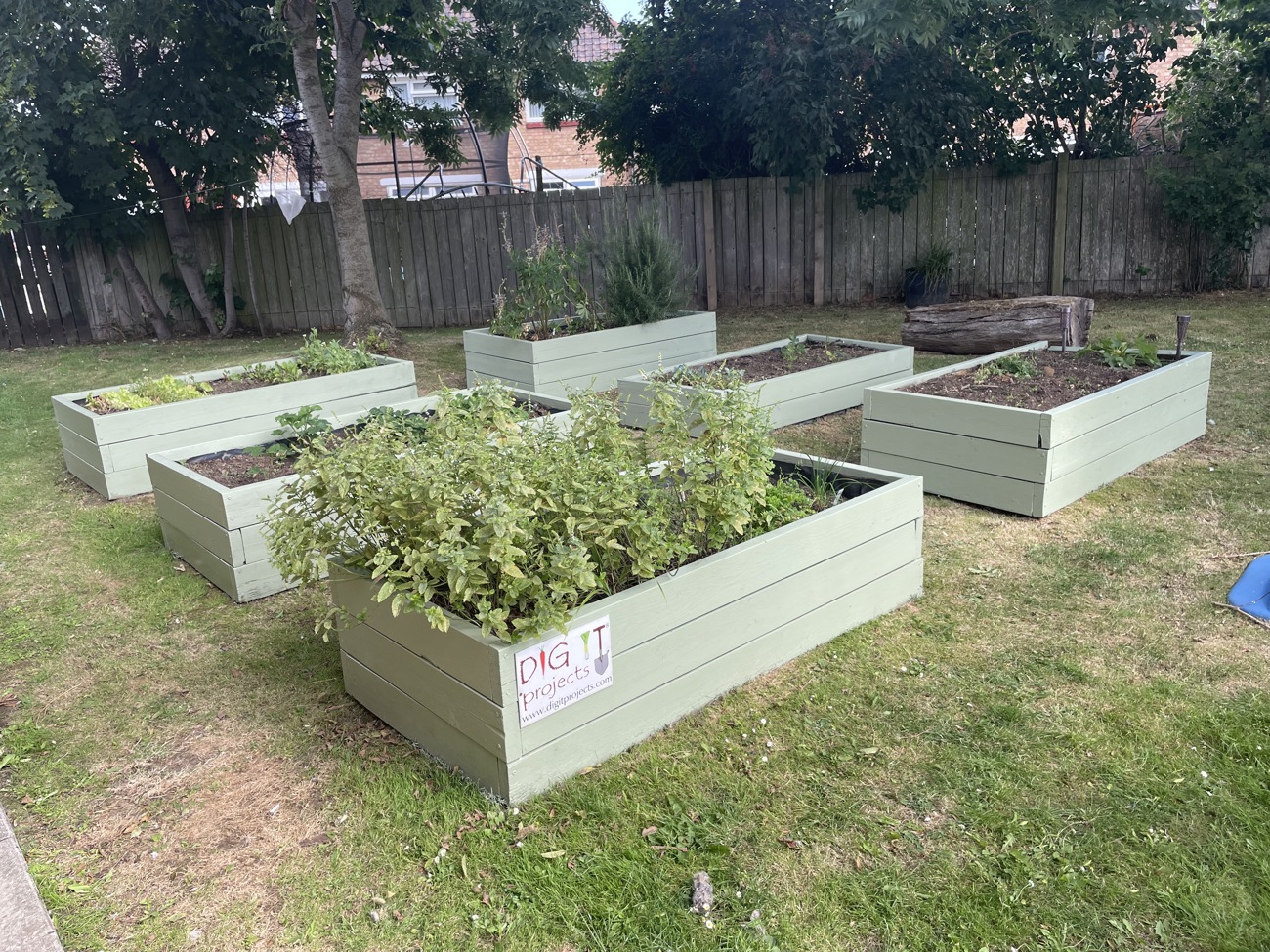 Garden 1